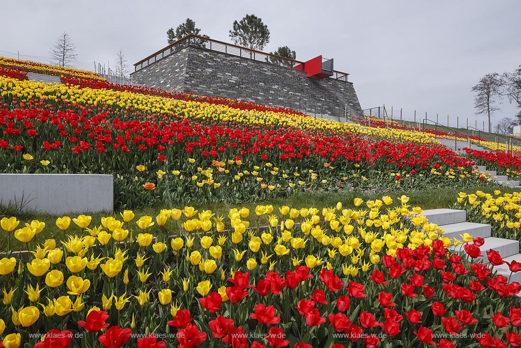 Zuelich, Seepark, die Roemerbastion mit bluehenden roten und gelben Tulpen, landesgartenschaugelaende; Zuelpich, regional garden and flower festival "Landesgartenschau" Zuelpich 2014, "Roemerbastiion" with red and yellow  tulips in flower.