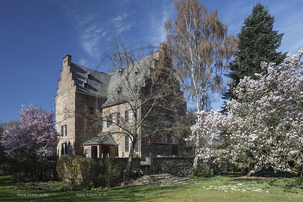 Zuelpich-Uelpenich, Haus Duerffenthal im Fruehling mit Magnolie und Blutpflaume bzw. Kirschplaume  (Prunus cerasifera) in Bluehte; Zuelpich-Uelpenich, mansion "Haus Duerffenthal" in springtime with mognolia and cherry plum  (Prunus cerasifera) in flower.