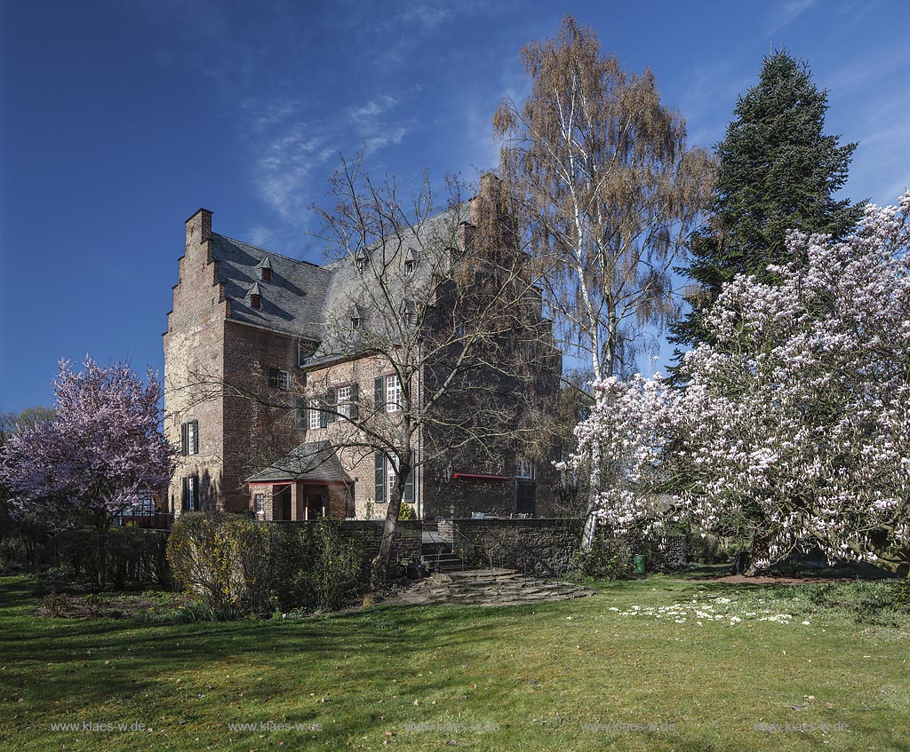 Zuelpich-Uelpenich, Haus Duerffenthal im Fruehling mit Magnolie und Blutpflaume bzw. Kirschplaume  (Prunus cerasifera) in Bluehte; Zuelpich-Uelpenich, mansion "Haus Duerffenthal" in springtime with mognolia and cherry plum  (Prunus cerasifera) in flower.