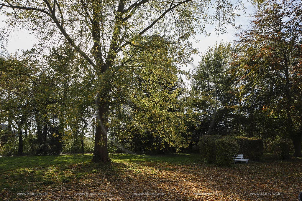 Zuelpich-Uelpenich, Park des Haus Duerffenthal; Zuelpich-Uelpenich, park of the manor house Haus Duerffenthal.