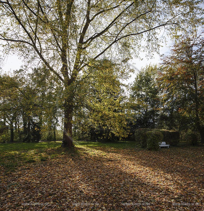 Zuelpich-Uelpenich, Park des Haus Duerffenthal; Zuelpich-Uelpenich, park of the manor house Haus Duerffenthal.