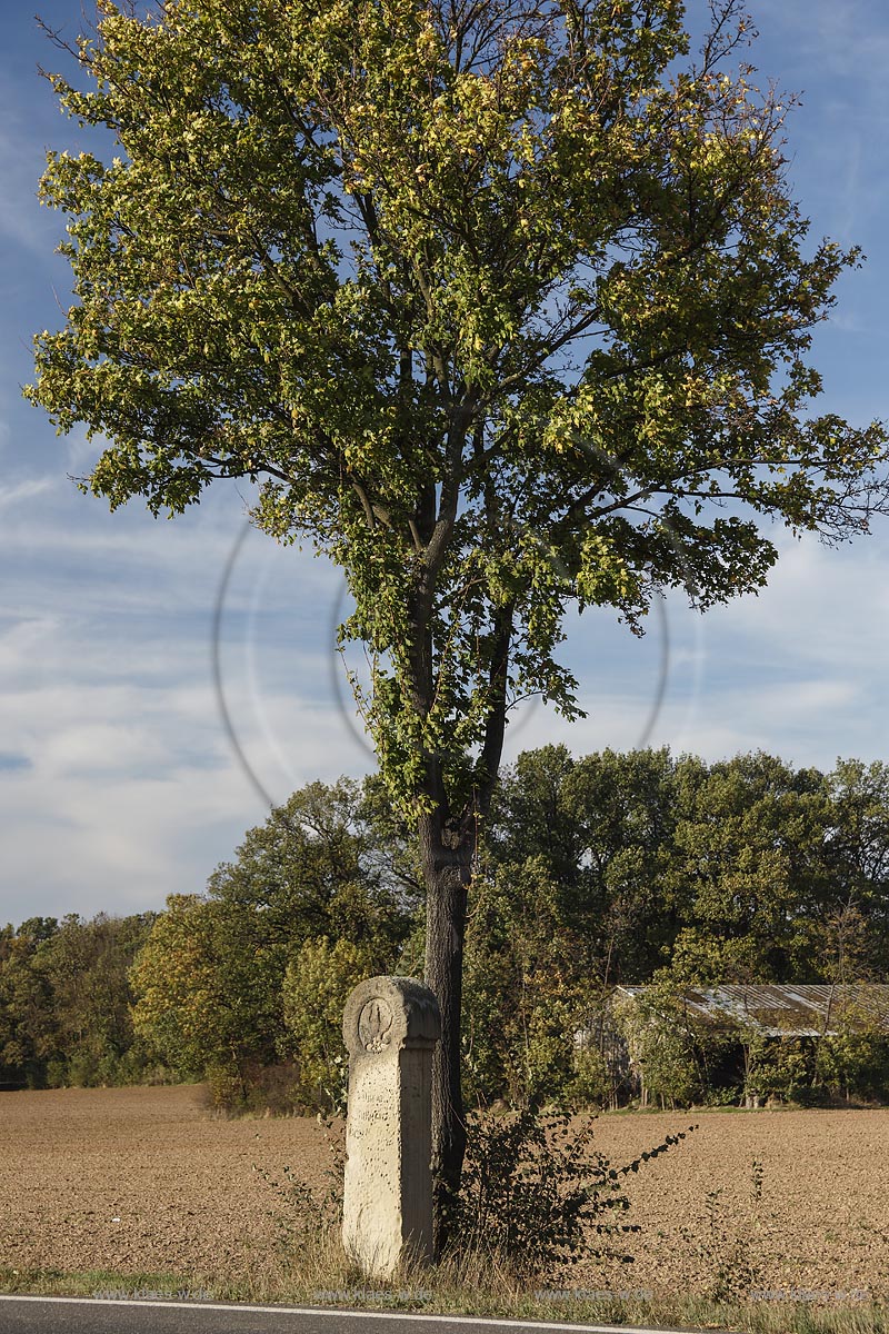 Zuelpich-Uelpenich, Preussischer Meilenstein; Zuelpich-Uelpenich, a Prussian cornerstone.