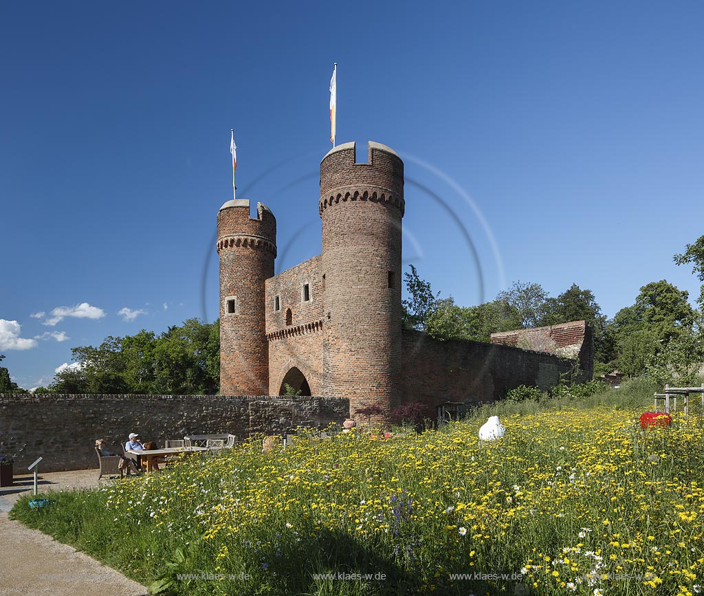 Zuelpich, Weintor mit Wildblumenwiese auf dem Landesagtenschaugelaende 2014; Zuelpich town gate weiertor.