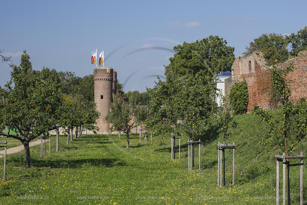 uelpich, Stadttor Weiertor mit Streuobstwiese auf dem Gelaende der Landesgartenschau 2014 in Zuelpich; Zuelpich, town gate with orchard meadow on the area of the Landesgartenschau 2014 in Zuelpich.