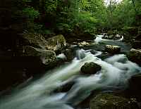 Irrel, Pruem, Prm, Eifelkreis Bitburg-Prm, Eifel, Blick auf Wasserfaelle, Wasserflle und Natur