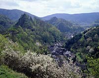 Altenahr, Landkreis Ahrweiler, Eifel, Blick auf Burgruine, Burg Are, Rotweinwanderweg, Landschaft und Ort im Frühling, Fruehling