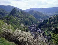 Altenahr, Landkreis Ahrweiler, Eifel, Blick auf Burgruine, Burg Are, Rotweinwanderweg, Landschaft und Ort im Frhling, Fruehling