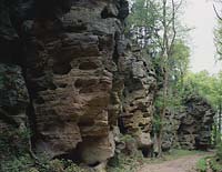 Ferschweiler, Eifel, Eifelkreis Bitburg-Prüm, Verbandsgemeinde Irrel, Blick auf Ferschweiler Plateau, Schweinestaelle, Schweineställe, Neolithische Stätte