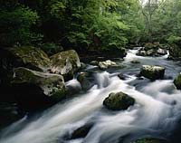 Irrel, Pruem, Prüm, Eifelkreis Bitburg-Prüm, Eifel, Blick auf Wasserfaelle, Wasserfälle und Natur