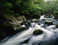 Irrel, Pruem, Prm, Eifelkreis Bitburg-Prm, Eifel, Blick auf Wasserfaelle, Wasserflle und Natur