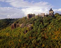 Nideggen, Kreis Düren, Eifel, Blick zur Burg Nideggen, Bergfried, in Herbstlandschaft