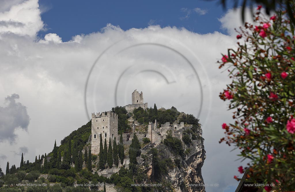 Arco blick zur Burg Arco mit ihren zinnenbekroenten Tuermen zwischen Zypressen mit Wolkenstimmung; Castle Arco the ambattled towers among the cypress trees; Castello Arco le torri merlate tra i cipressi 