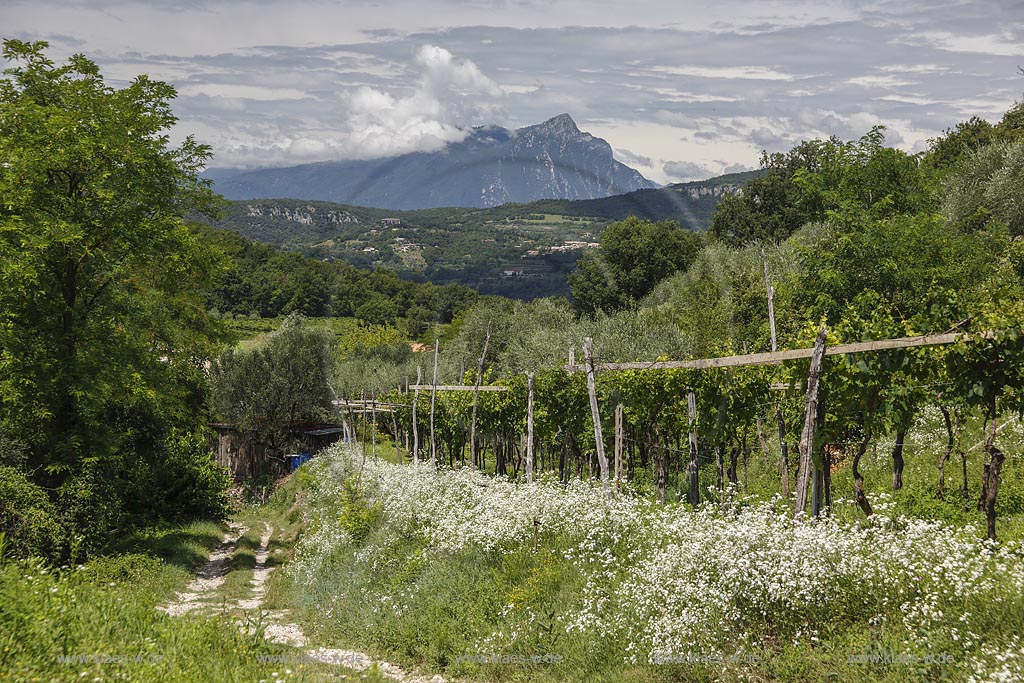 Bardolino, Blick ueber den Gardasee mit "Punta San Vigilio" zum Westufer; Bardolino, voew over Lake Garda with "Punta San Vigilio" to the west bank.