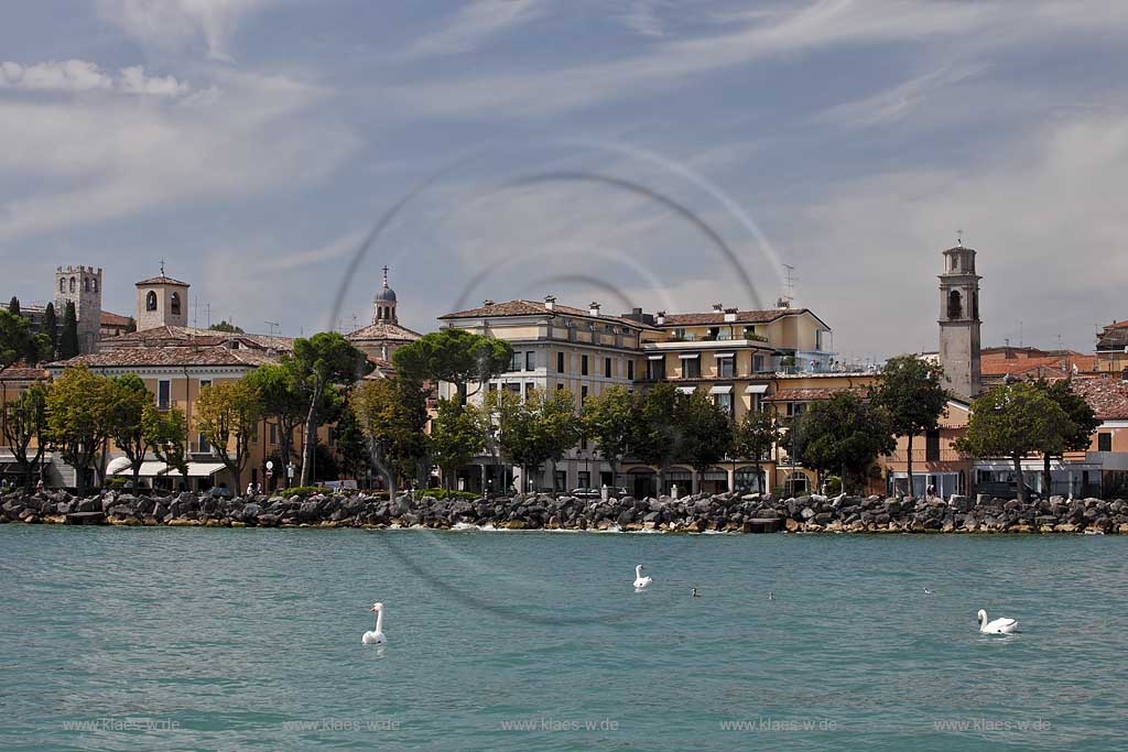 Desenzano, Blick vom Gardasee zur Stadt mit Promenade, im Vordergrund schwimmende Hoeckerschwaene; Desenzano. view to the promenade, swimming mute swan on the lake.
