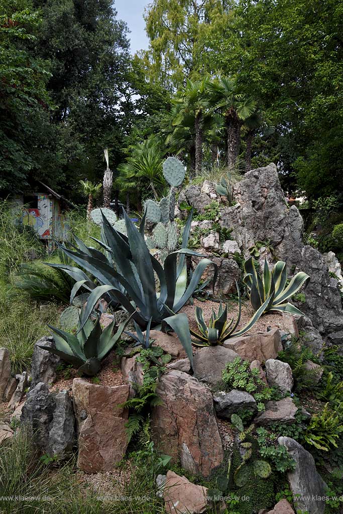 Gardone Riviera, der botanische Garten Heller, gegruendet von Arthur Hrusca 20. Jahrhundert; Garone Riviera, the Heller botanical garden, founded by Arthur Hruska 20th century; Gardone Riviera,  Il giardino botanico Heller