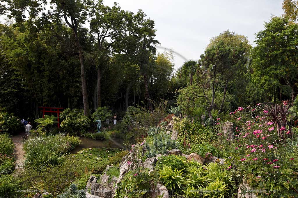Gardone Riviera, der botanische Garten Heller, gegruendet von Arthur Hrusca 20. Jahrhundert; Garone Riviera, the Heller botanical garden, founded by Arthur Hruska 20th century; Gardone Riviera,  Il giardino botanico Heller