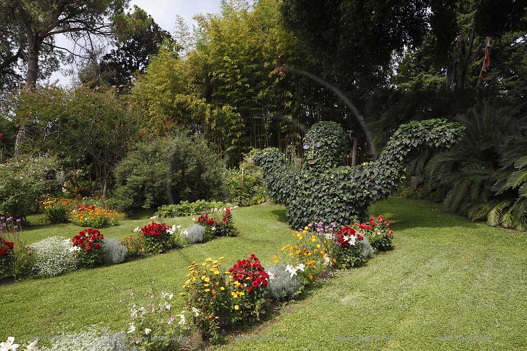 Gardone Riviera, der botanische Garten Heller, gegruendet von Arthur Hrusca 20. Jahrhundert; Garone Riviera, the Heller botanical garden, founded by Arthur Hruska 20th century; Gardone Riviera,  Il giardino botanico Heller