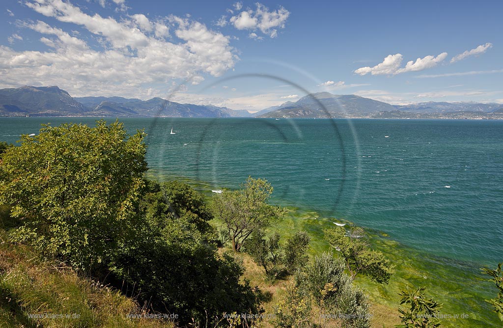 Sirmione, Blick ueber den Gardasee in Richtung Norden u.a  mit den herausragenden Bergen Monte Pizzocilo links und Monte Baldo rechts, Vegetation mit Baumen, Straeuchern und Graesern an der Uferboeschung im Vordergrund, gute Fernsicht, klares Wasser; Sirmione, viewing north over Lake garda to the mountais with Monte Pizzocole, left side and Monte Baldo, right side on a clear day