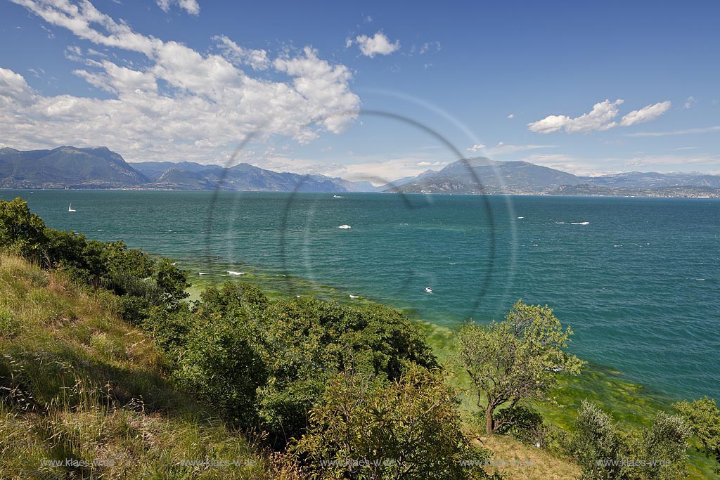 Sirmione, Blick ueber den Gardasee in Richtung Norden u.a  mit den herausragenden Bergen Monte Pizzocilo links und Monte Baldo rechts, Vegetation mit Baumen, Straeuchern und Graesern an der Uferboeschung im Vordergrund, gute Fernsicht, klares Wasser; Sirmione, viewing north over Lake garda to the mountais with Monte Pizzocole, left side and Monte Baldo, right side on a clear day