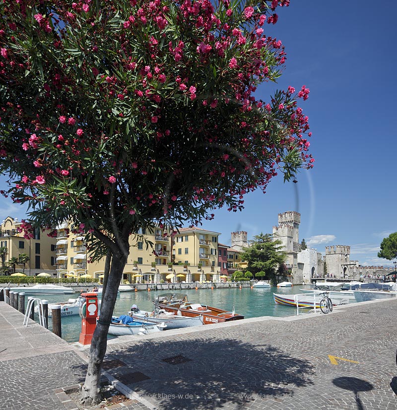 Sirmione, Blick vom Hafen mit ueppig rot bluehendem Oleanderbaum und bunten Fischerbooten zur Scaliger Burg; Sirmione, view from port with with red oleander tree in flower and colorful fishing boats to the Scaliger castle 