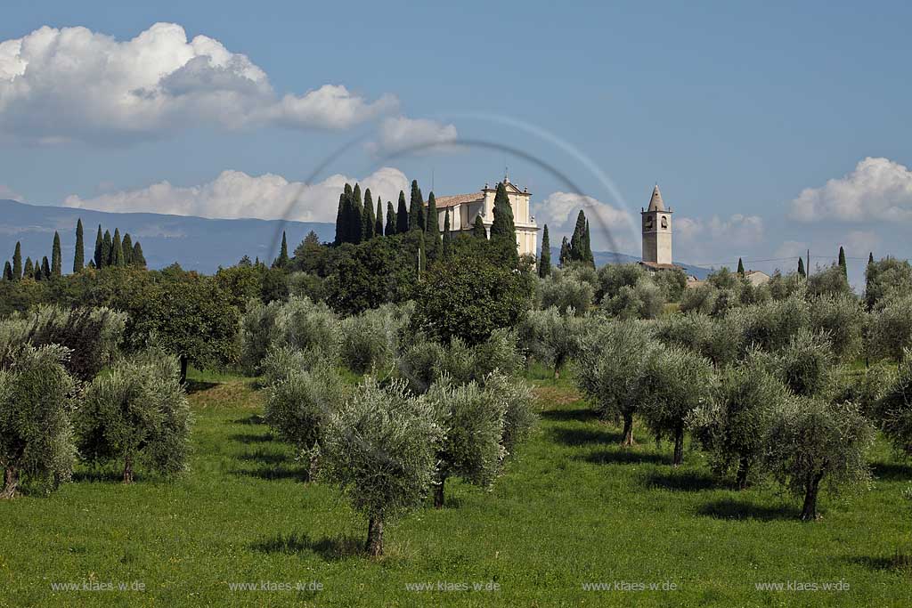 Toscolano-Maderno Gaino, Blick ueber Olivenhain zur Kirche Chiesa San Michele; Toscolano-Maderno. Gaino, view with olive grove onto church St. Michael.