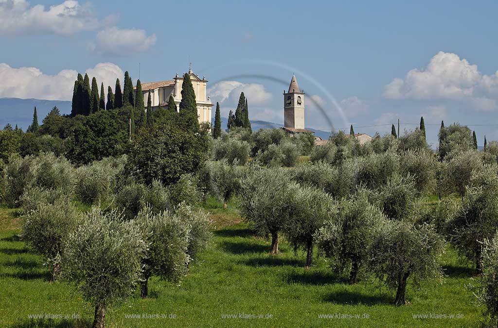 Toscolano-Maderno Gaino, Blick ueber Olivenhain zur Kirche Chiesa San Michele; Toscolano-Maderno. Gaino, view with olive grove onto church St. Michael.