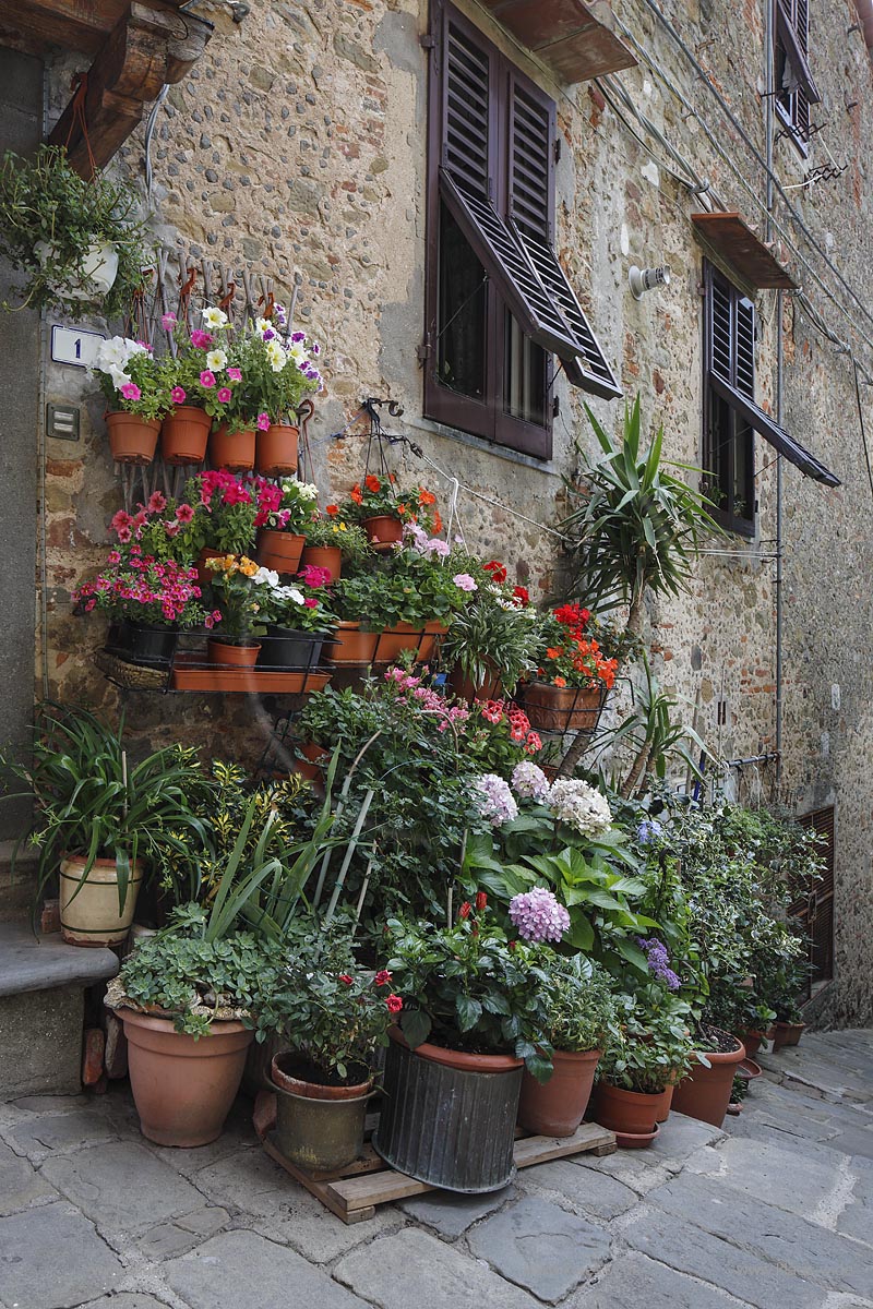 Montecatini Alto, Blumenschmuck in Kuebeln an einem Haus; Montecatini Alto, flowers at the wall of a house.