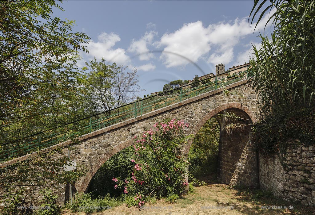 Blick auf Montecatini Alto mit Viadukt und bluehendem Oleander; view to Montecantini Alto with viaduct and oleander in flower.
