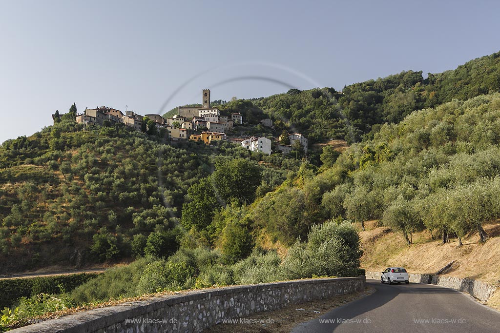 Uzzano, Landschaft mit Strasse und Olivenhain; Uzzano, landscape with street and olive grove.