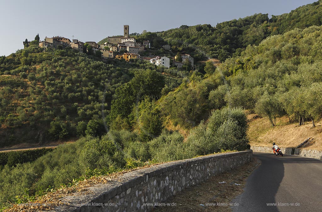 Uzzano, Landschaft mit Strasse und Olivenhain; Uzzano, landscape with street and olive grove.