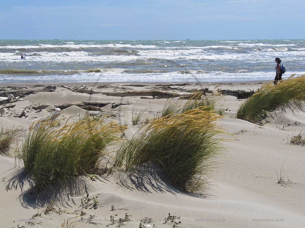 Rosolina Mare Strandlandschaft mit Duenen und Strandvegetation bei stuermischer See stuermischem Meer mit hohen Wellen; Beach landscape with dunes and rought adriatic sea with high waves at a windy day