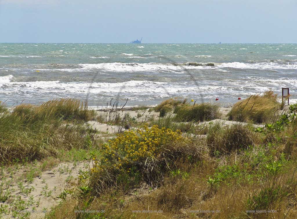 Rosolina Mare Strandlandschaft mit Duenen und Strandvegetation bei stuermischer See stuermischem Meer mit hohen Wellen; Beach landscape with dunes and rought adriatic sea with high waves at a windy day