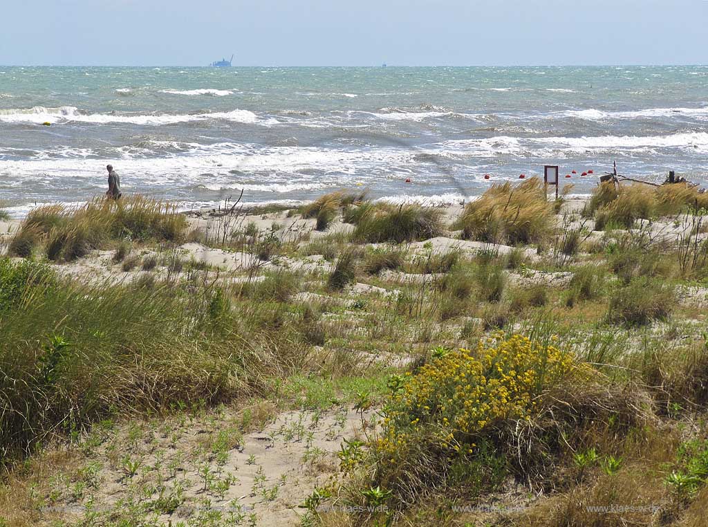 Rosolina Mare Strandlandschaft mit Duenen und Strandvegetation bei stuermischer See stuermischem Meer mit hohen Wellen; Beach landscape with dunes and rought adriatic sea with high waves at a windy day