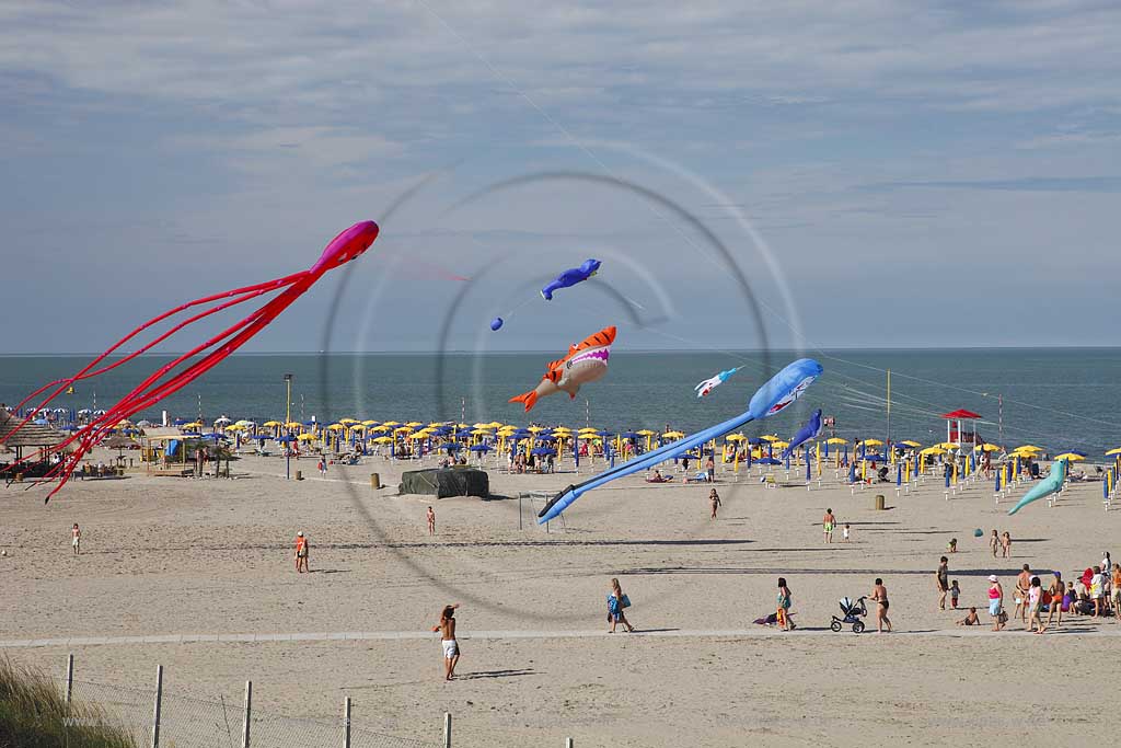 Rosolina Mare Strandlandschaft Ottimo Cielo Festival riesengrosse Drachen steigen lassen am Strand mit Tintenfisch 20 Meter lang, Katze, Hai ; Ottimo Cielo Art kite show  Octopus 20 meters, Gastone; Sharky XXL; Robbie the seal at the beach with landscape