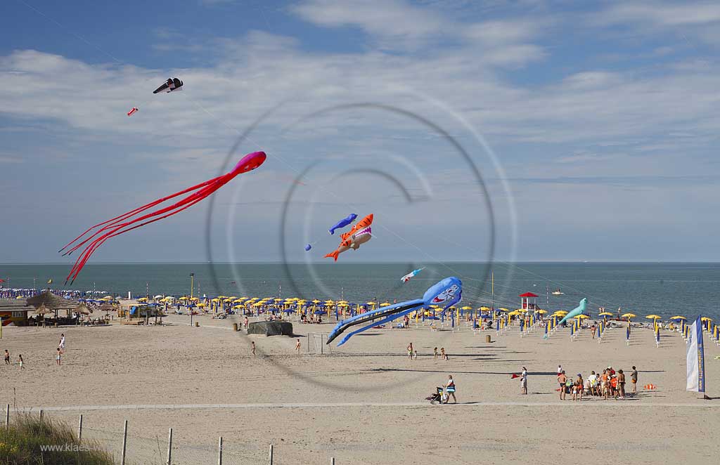 Rosolina Mare Strandlandschaft Ottimo Cielo Festival riesengrosse Drachen steigen lassen am Strand mit Tintenfisch 20 Meter lang, Katze, Hai ; Ottimo Cielo Art kite show  Octopus 20 meters, Gastone; Sharky XXL; Robbie the seal at the beach with landscape