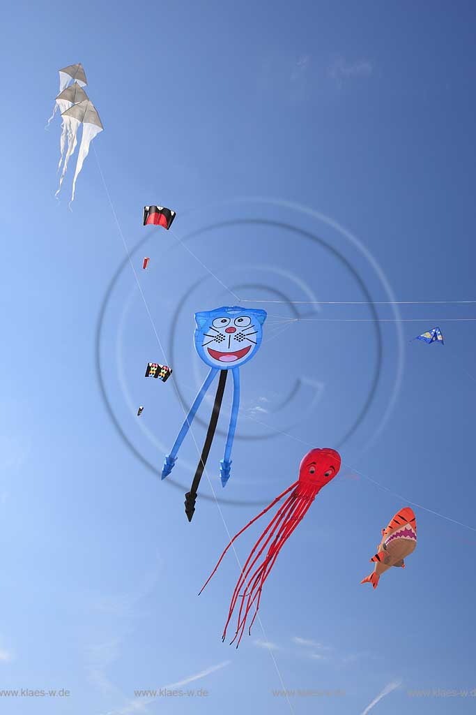 Rosolina Mare Ottimo Cielo Festival riesengrosse Drachen steigen lassen am Strand mit Tintenfisch 20 Meter lang, Katze, Hai ; Ottimo Cielo Art kite show  Octopus 20 meters, Gastone; Sharky XXL