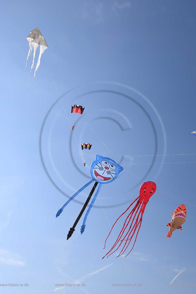 Rosolina Mare Ottimo Cielo Festival riesengrosse Drachen steigen lassen am Strand mit Tintenfisch 20 Meter lang, Katze, Hai ; Ottimo Cielo Art kite show  Octopus 20 meters, Gastone; Sharky XXL