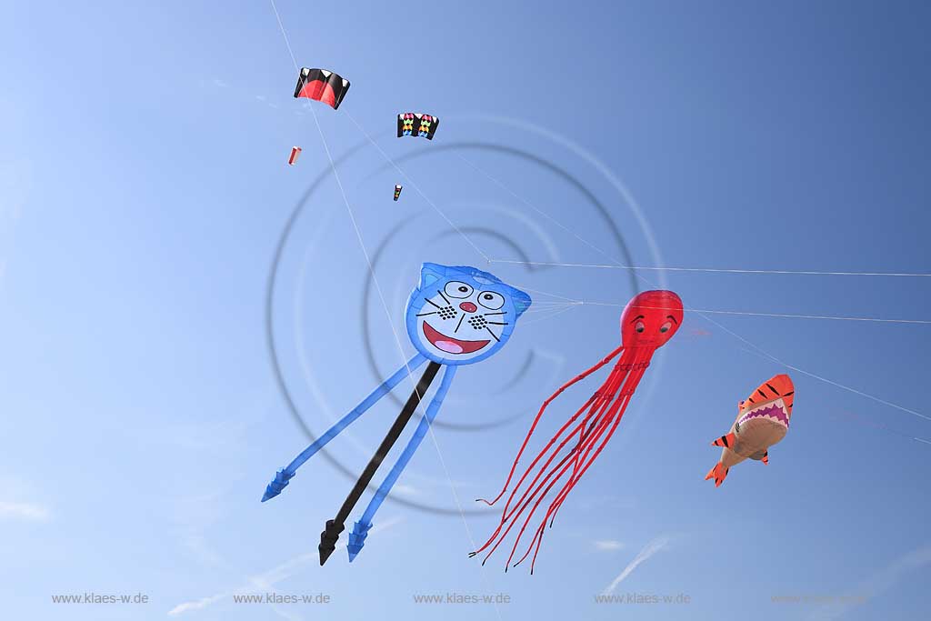 Rosolina Mare Ottimo Cielo Festival riesengrosse Drachen steigen lassen am Strand mit Tintenfisch 20 Meter lang, Katze, Hai ; Ottimo Cielo Art kite show  Octopus 20 meters, Gastone; Sharky XXL