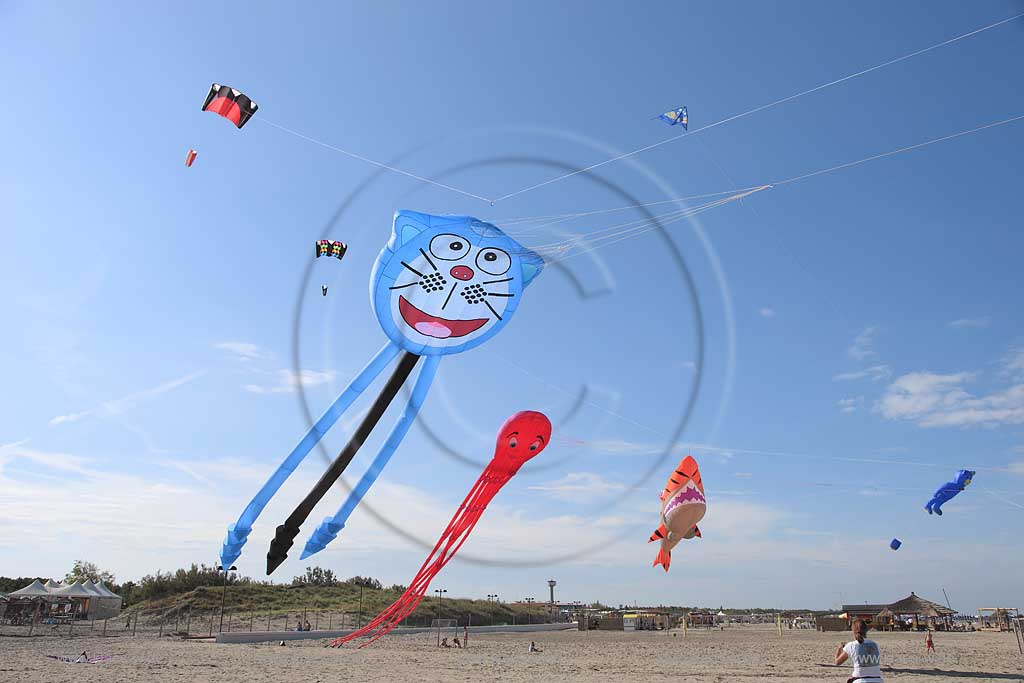Rosolina Mare Ottimo Cielo Festival riesengrosse Drachen steigen lassen am Strand mit Tintenfisch 20 Meter lang, Katze, Hai ; Ottimo Cielo Art kite show  Octopus 20 meters, Gastone; Sharky XXL; Robbie the seal