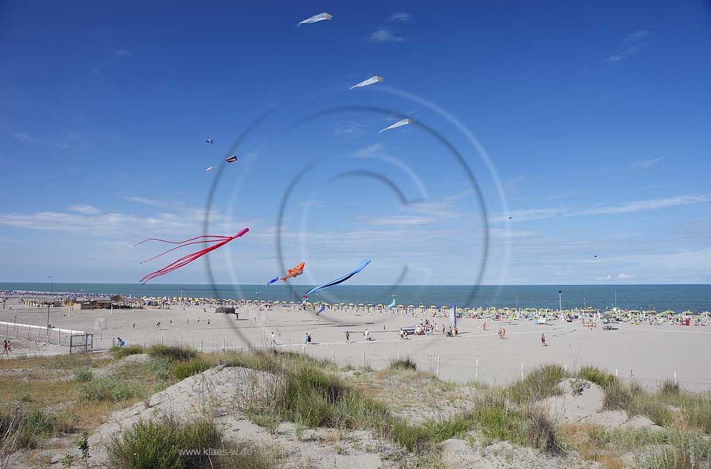 Rosolina Mare Strandlandschaft Ottimo Cielo Festival riesengrosse Drachen steigen lassen am Strand mit Tintenfisch 20 Meter lang, Katze, Hai ; Ottimo Cielo Art kite show  Octopus 20 meters, Gastone; Sharky XXL; Robbie the seal at the beach with landscape