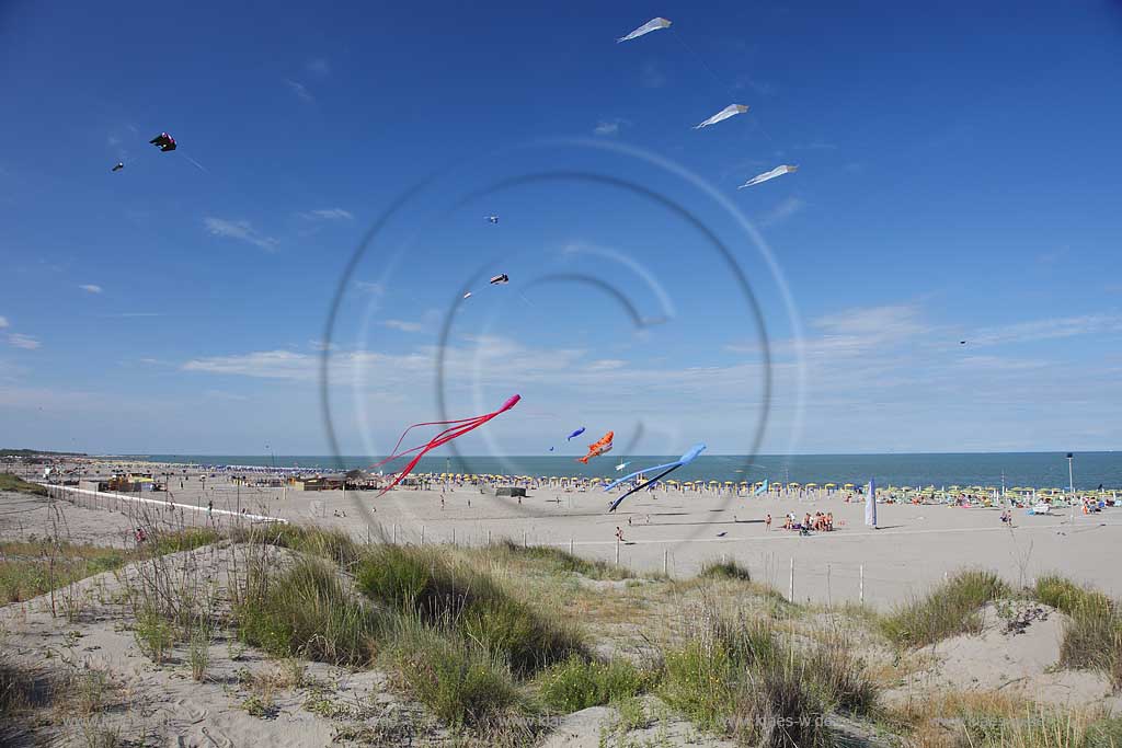 Rosolina Mare Strandlandschaft Ottimo Cielo Festival riesengrosse Drachen steigen lassen am Strand mit Tintenfisch 20 Meter lang, Katze, Hai ; Ottimo Cielo Art kite show  Octopus 20 meters, Gastone; Sharky XXL; Robbie the seal at the beach with landscape