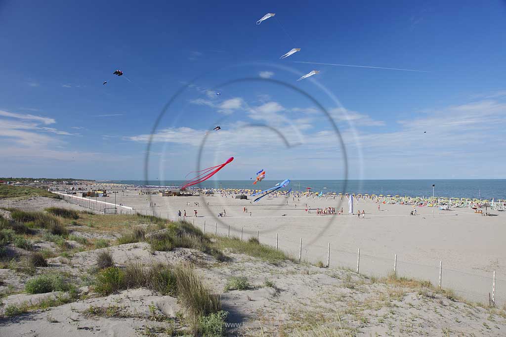 Rosolina Mare Strandlandschaft Ottimo Cielo Festival riesengrosse Drachen steigen lassen am Strand mit Tintenfisch 20 Meter lang, Katze, Hai ; Ottimo Cielo Art kite show  Octopus 20 meters, Gastone; Sharky XXL; Robbie the seal at the beach with landscape
