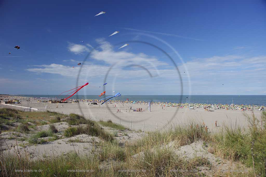 Rosolina Mare Strandlandschaft Ottimo Cielo Festival riesengrosse Drachen steigen lassen am Strand mit Tintenfisch 20 Meter lang, Katze, Hai ; Ottimo Cielo Art kite show  Octopus 20 meters, Gastone; Sharky XXL; Robbie the seal at the beach with landscape