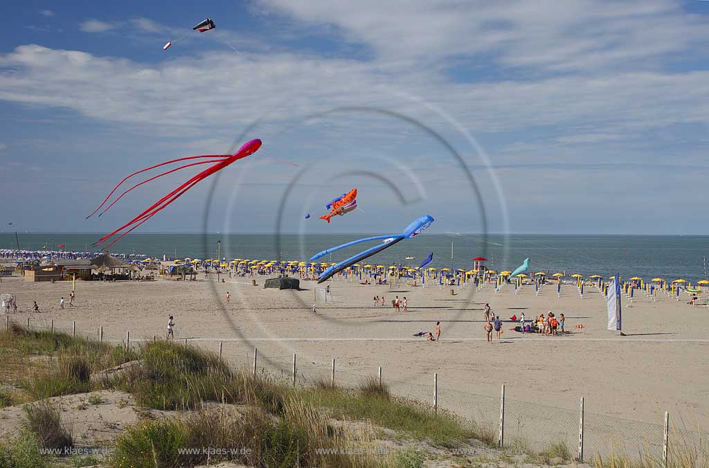 Rosolina Mare Strandlandschaft Ottimo Cielo Festival riesengrosse Drachen steigen lassen am Strand mit Tintenfisch 20 Meter lang, Katze, Hai ; Ottimo Cielo Art kite show  Octopus 20 meters, Gastone; Sharky XXL; Robbie the seal at the beach with landscape