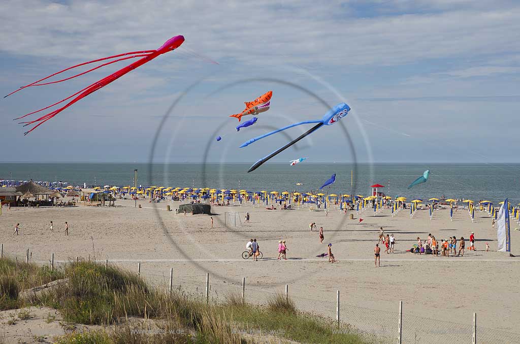 Rosolina Mare Strandlandschaft Ottimo Cielo Festival riesengrosse Drachen steigen lassen am Strand mit Tintenfisch 20 Meter lang, Katze, Hai ; Ottimo Cielo Art kite show  Octopus 20 meters, Gastone; Sharky XXL; Robbie the seal at the beach with landscape