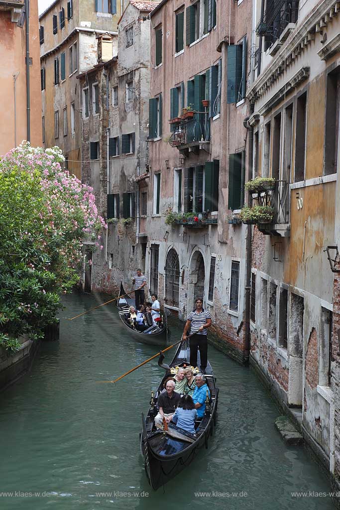 Venedig ein Kanal mit zwei Gondeln und Gondoliere, Akkordeon Spieler und Saenger, Gondel Serenadensaenger; Venice a canal with two gondola with gondoliers, accordion player; serenade singer