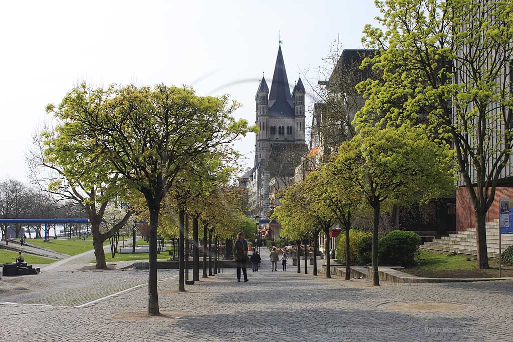 Koeln, Blick ueber Frankenwerft mit kleiner Baumallee auf Kirchturm von Gross Sankt Martin im Fruehling; View to tower of chruch Gross St. Martin in springtime