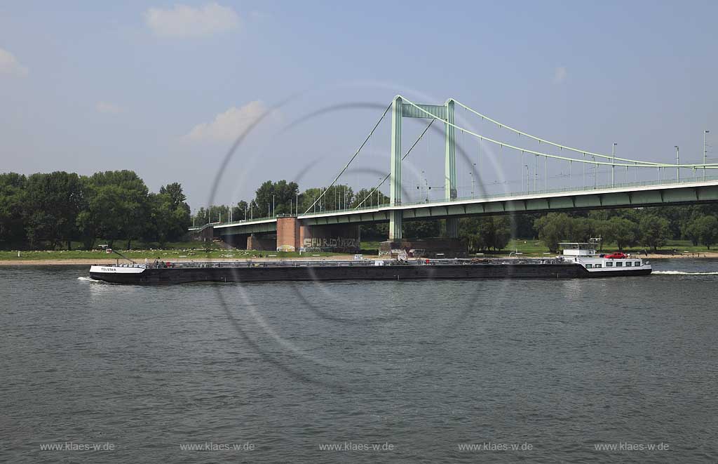 Koeln Muelheimer Brucek mit Schlapper und weidener Schafherde auf der gegenueberligenden Rheinseite; Cologne muelheim bridge with graze sheep at the opposite rhine side