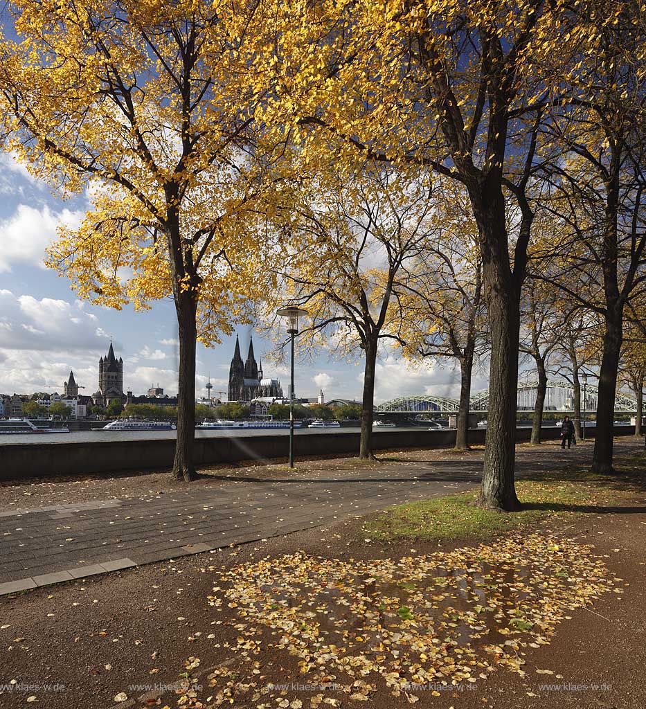 Koeln-Deutz Blick vom Kennedy.Ufer mit herbstlich verfaerbten Linden zum Dom und Sankt Martin Kirchturm; Cologne view from Kennedy-Ufer with autumn trees to the cathedrale and tower of St. Martin church