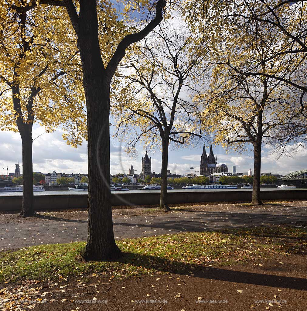 Koeln-Deutz Blick vom Kennedy.Ufer mit herbstlich verfaerbten Linden zum Dom und Sankt Martin Kirchturm; Cologne view from Kennedy-Ufer with autumn trees to the cathedrale and tower of St. Martin church